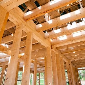 Cloueur pour tôles ondulées