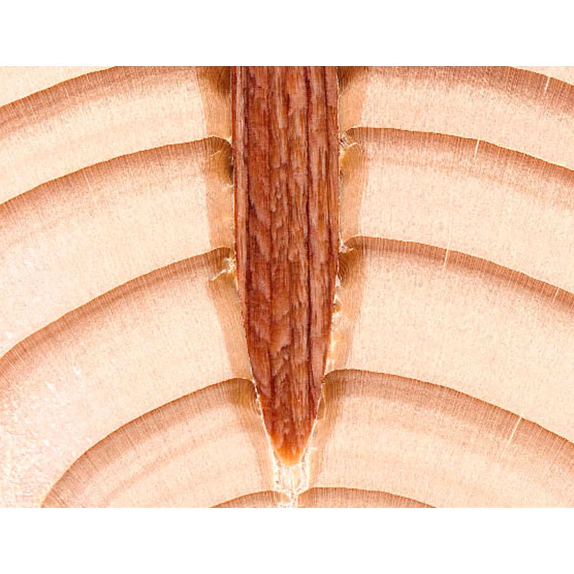 Clous dans une bobine Lignoloc Ø 4,7