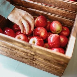 Agrafeuses pour bois